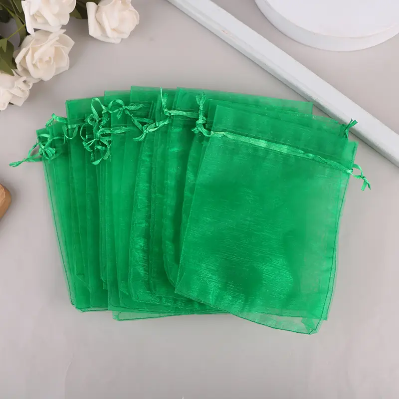 20Pcs Garden Mesh Fruit Bag Strawberry Grapes Fruit Grow Bags Breathable Netting Mesh Vegetable Plant Protection Bags