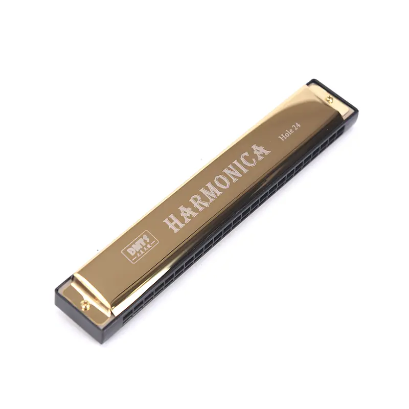 1pc Professional 24 Hole Harmonica Mouth Metal Organ for Beginners Musical Instruments  Harp Harmonium Blues