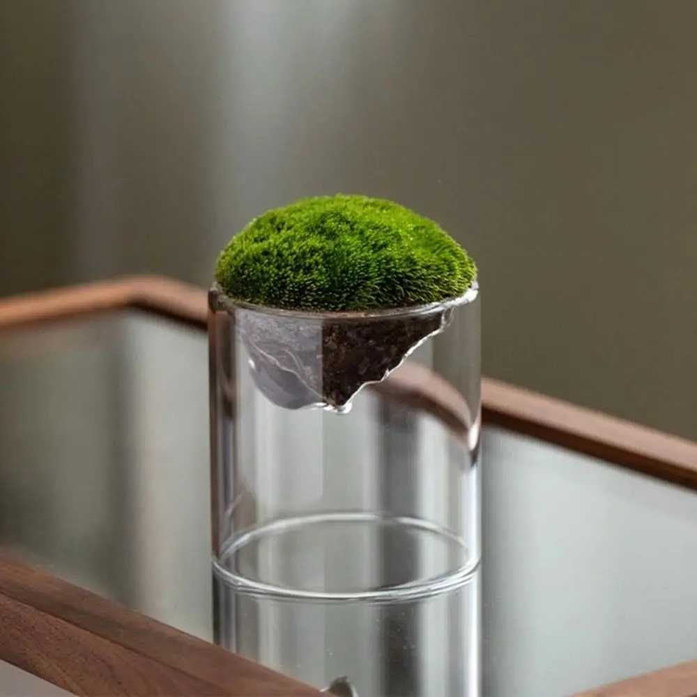 Home Decor Mountain Shaped Moss Glass Bottle Creative Durable Moss Vase Portable Moss Flower Vase Terrarium Bonsai