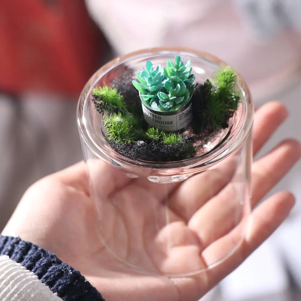 Home Decor Mountain Shaped Moss Glass Bottle Creative Durable Moss Vase Portable Moss Flower Vase Terrarium Bonsai