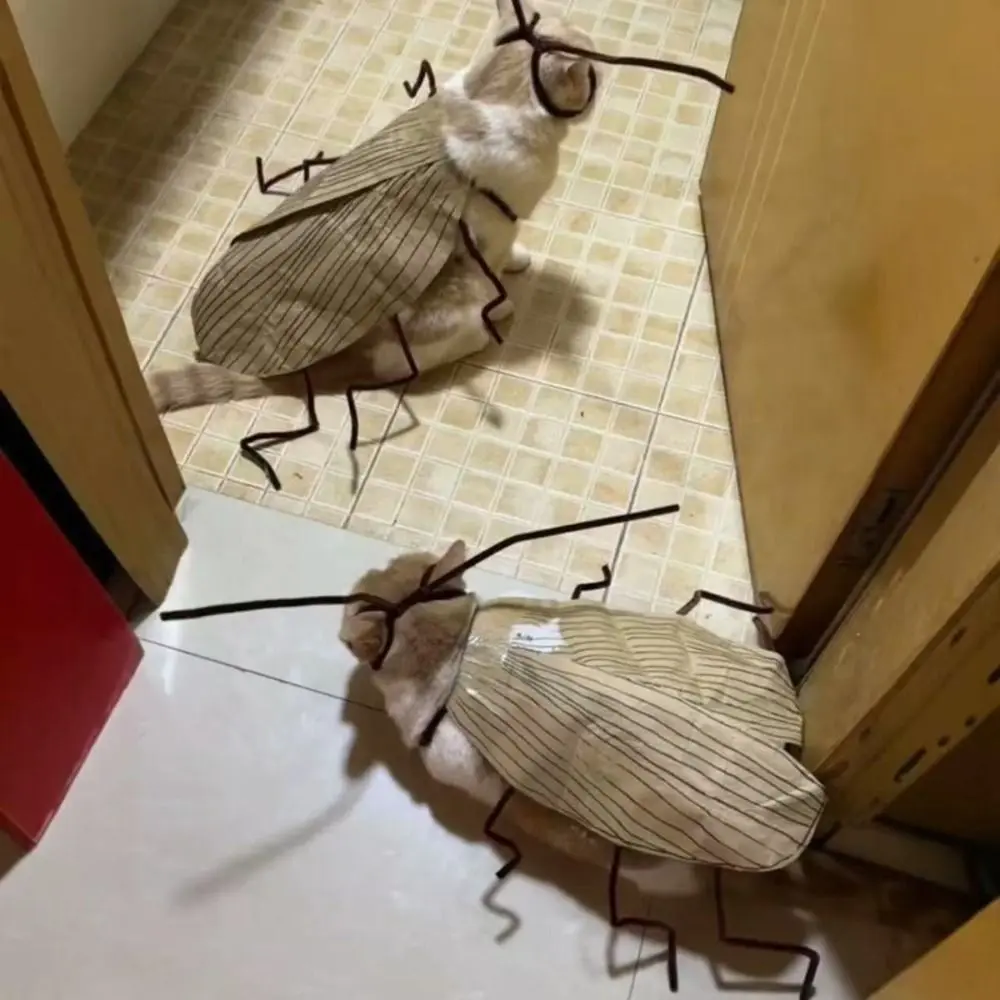 Creative Cat Cosplay Cockroach Costume Cartoon Cute Pet Clothes Material Kit with Cockroach Wings Unfinished