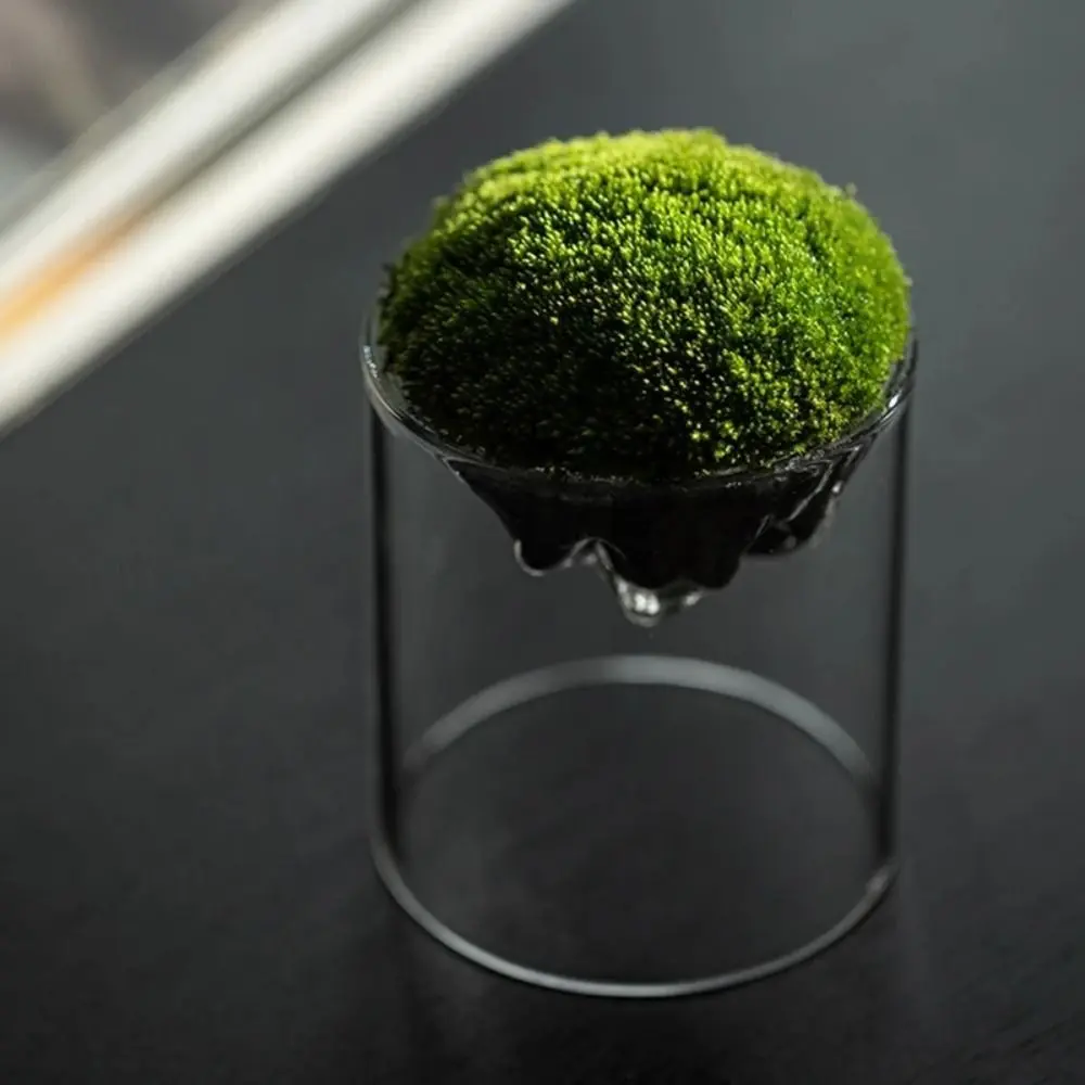 Home Decor Mountain Shaped Moss Glass Bottle Creative Durable Moss Vase Portable Moss Flower Vase Terrarium Bonsai