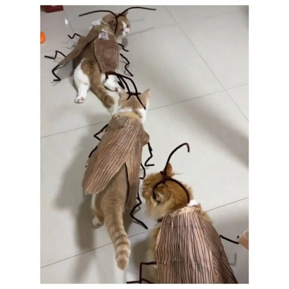 Creative Cat Cosplay Cockroach Costume Cartoon Cute Pet Clothes Material Kit with Cockroach Wings Unfinished