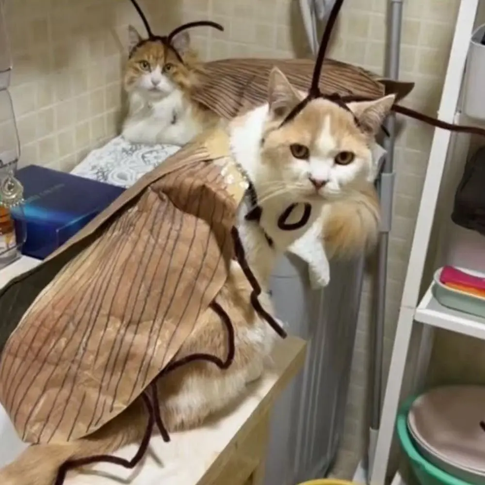 Creative Cat Cosplay Cockroach Costume Cartoon Cute Pet Clothes Material Kit with Cockroach Wings Unfinished