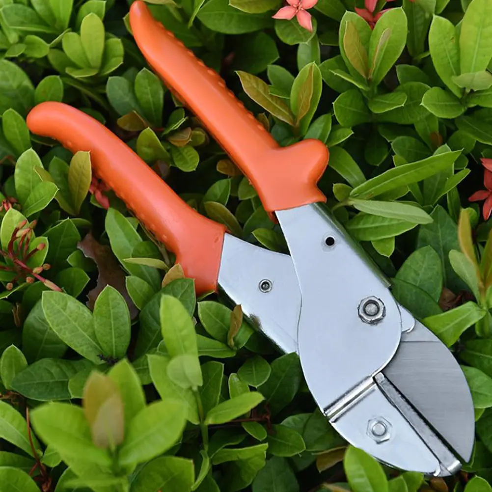 Pruning Shears Gardening Tool Stainless Steel Bonsai Professional Twigs Scissor Garden Accessory Pruning Device Labor Saving H