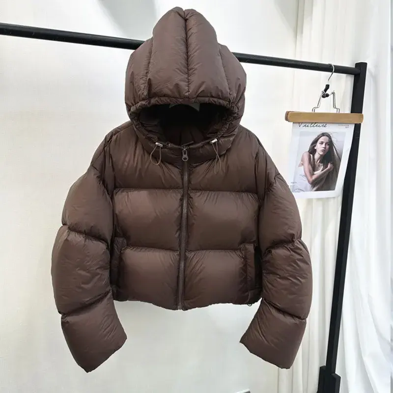 2024 New Winter Coat Female Hooded Women Jacket Short Casual Western Style Parka Thickened Loose Warm Down Jacket