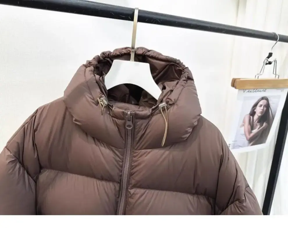 2024 New Winter Coat Female Hooded Women Jacket Short Casual Western Style Parka Thickened Loose Warm Down Jacket
