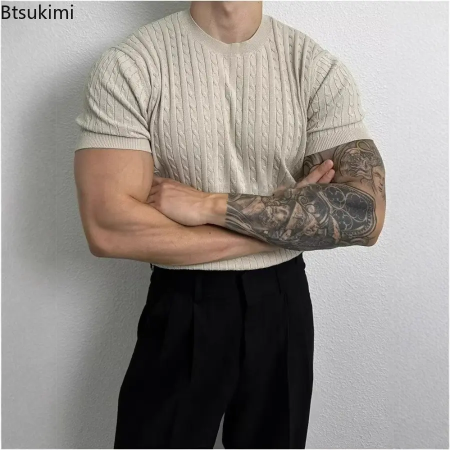 2025 Summer Solid color Thin Twist Pattern  Short Sleeve Crew Neck Knitted Sweater Mens Loose Trend Versatile Elastic T-shirt