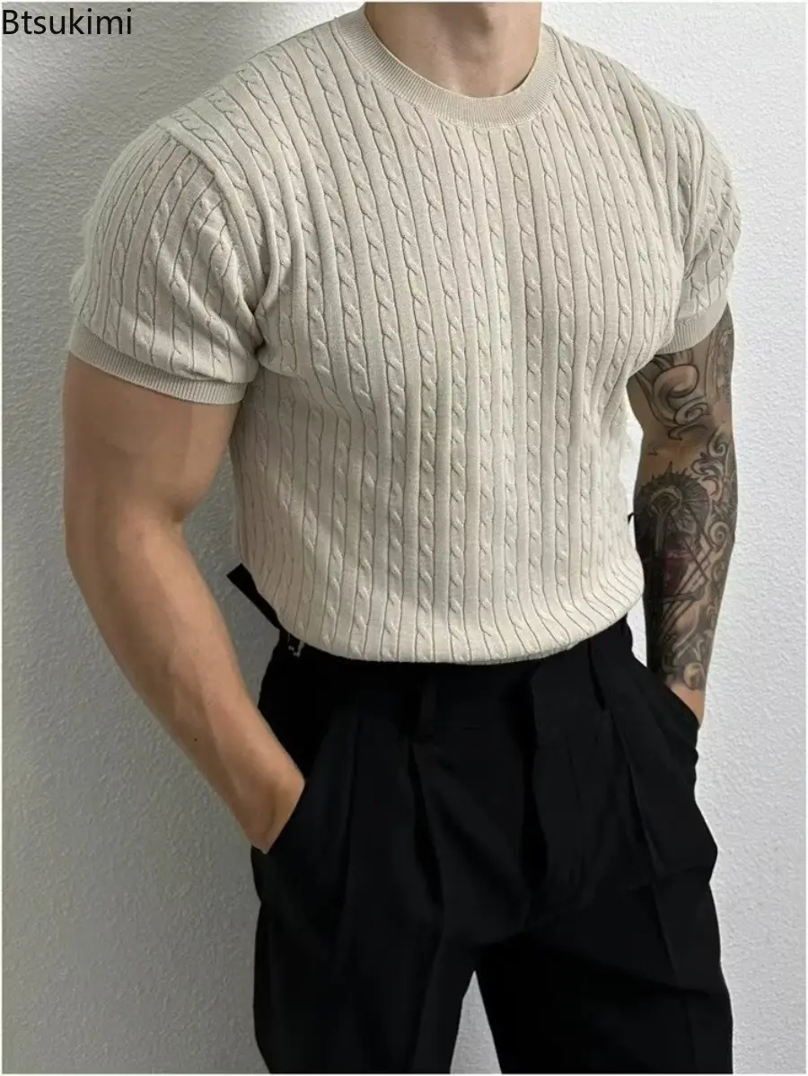 2025 Summer Solid color Thin Twist Pattern  Short Sleeve Crew Neck Knitted Sweater Mens Loose Trend Versatile Elastic T-shirt