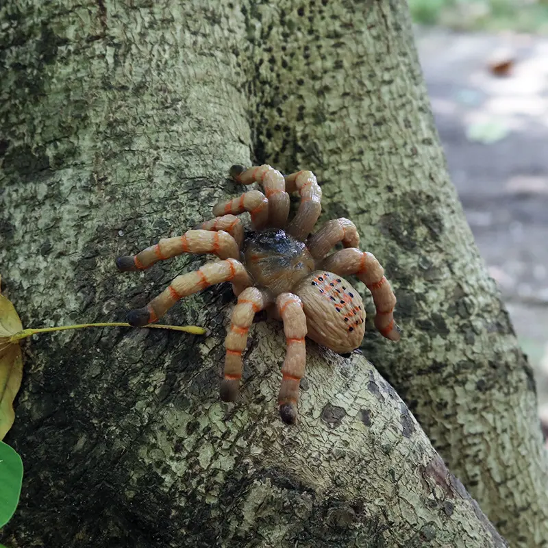 Children Science Education Simulation Animal Model Tricky Toy Insect Ornament Sand Table Scene Halloween Spider Suit Plastic Toy