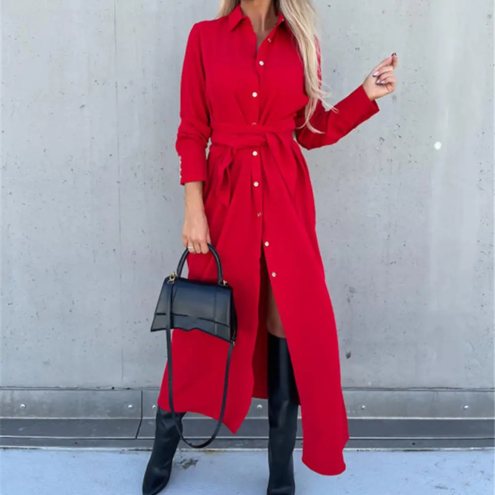 Charming Casual Dress Intellectual Autumn Dress Waist Tight Elegant Single Breasted Lady Long Shirt Dress