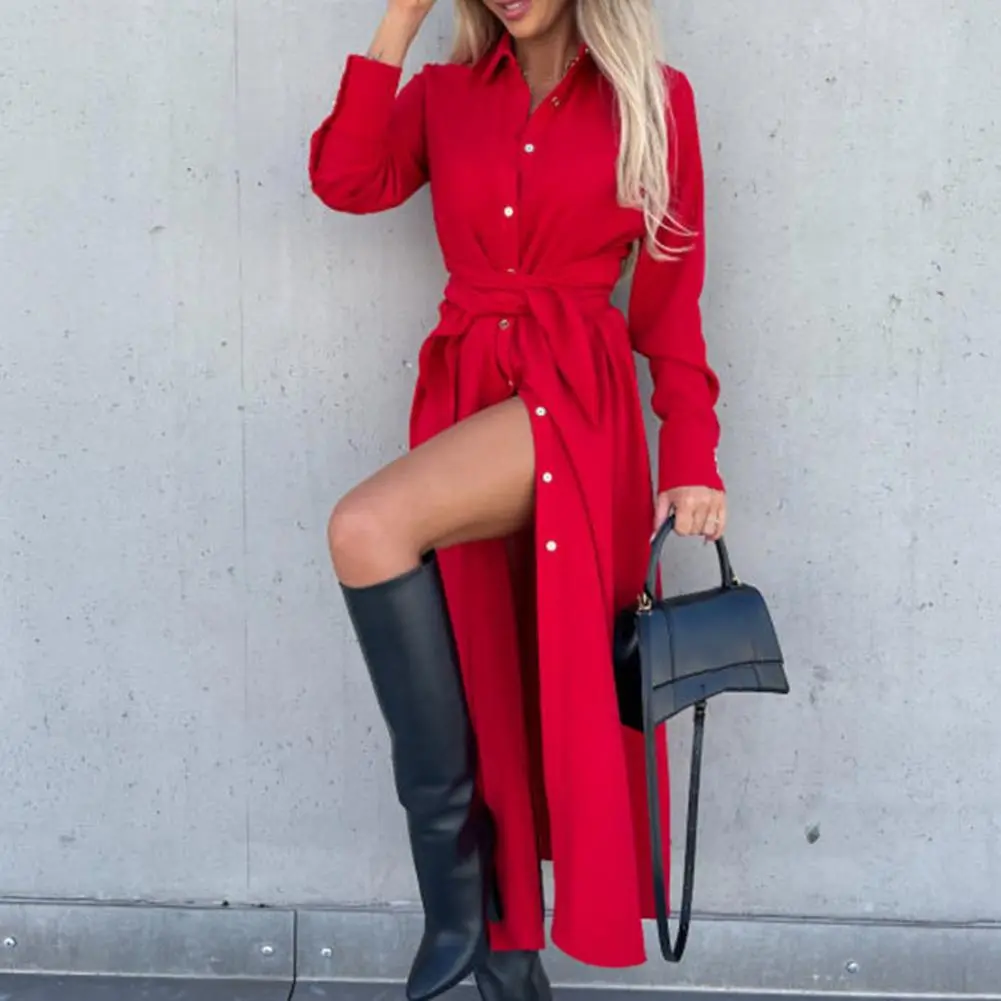 Charming Casual Dress Intellectual Autumn Dress Waist Tight Elegant Single Breasted Lady Long Shirt Dress