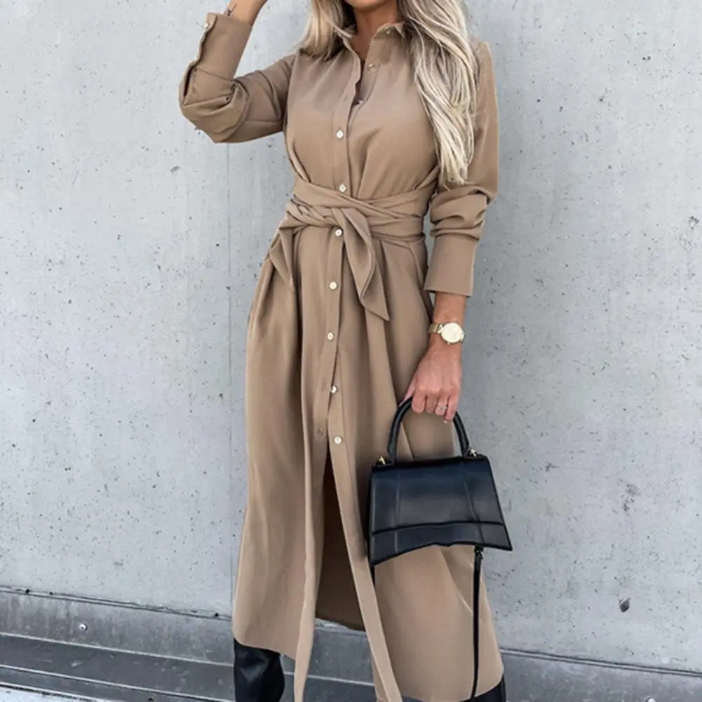 Charming Casual Dress Intellectual Autumn Dress Waist Tight Elegant Single Breasted Lady Long Shirt Dress