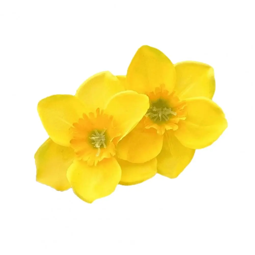 Flower Hair Clip Dual Flower Decor Hairpin Stylish Women's Hair Clips with Large Dual Flower Decor Side Hair for No for Elegant