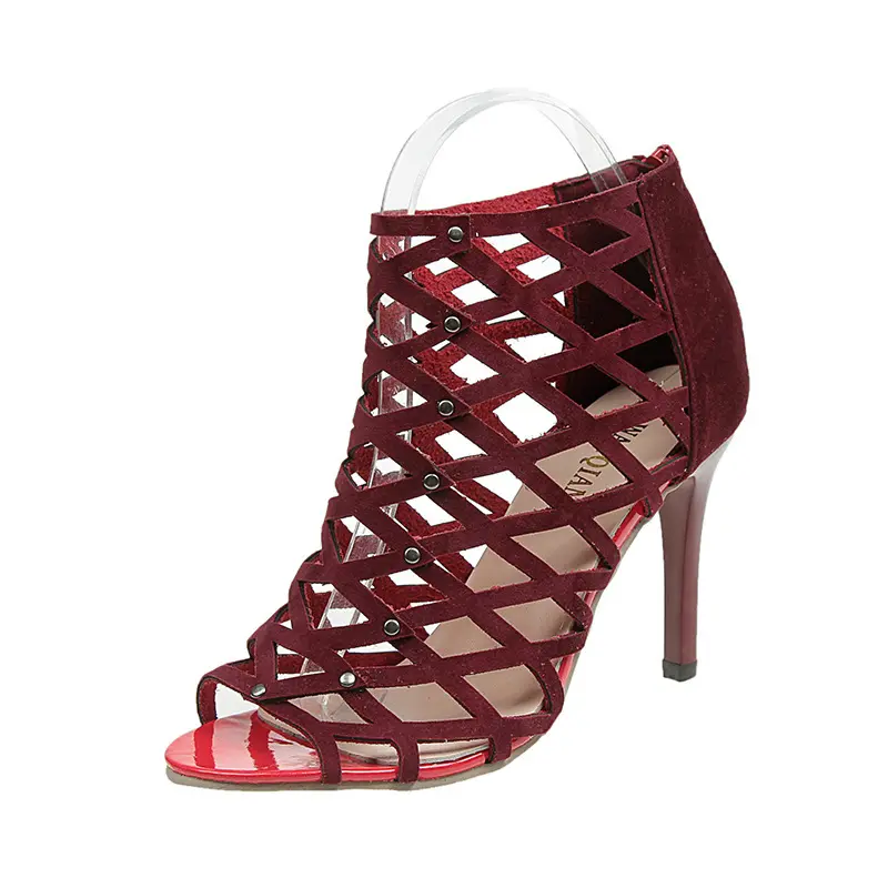 High Top Sandals Dance Shoes Woman Ballroom Latin Jazz Dance Booots Mesh High Heels Salsa Dancing Shoes Ladies Summer Boots