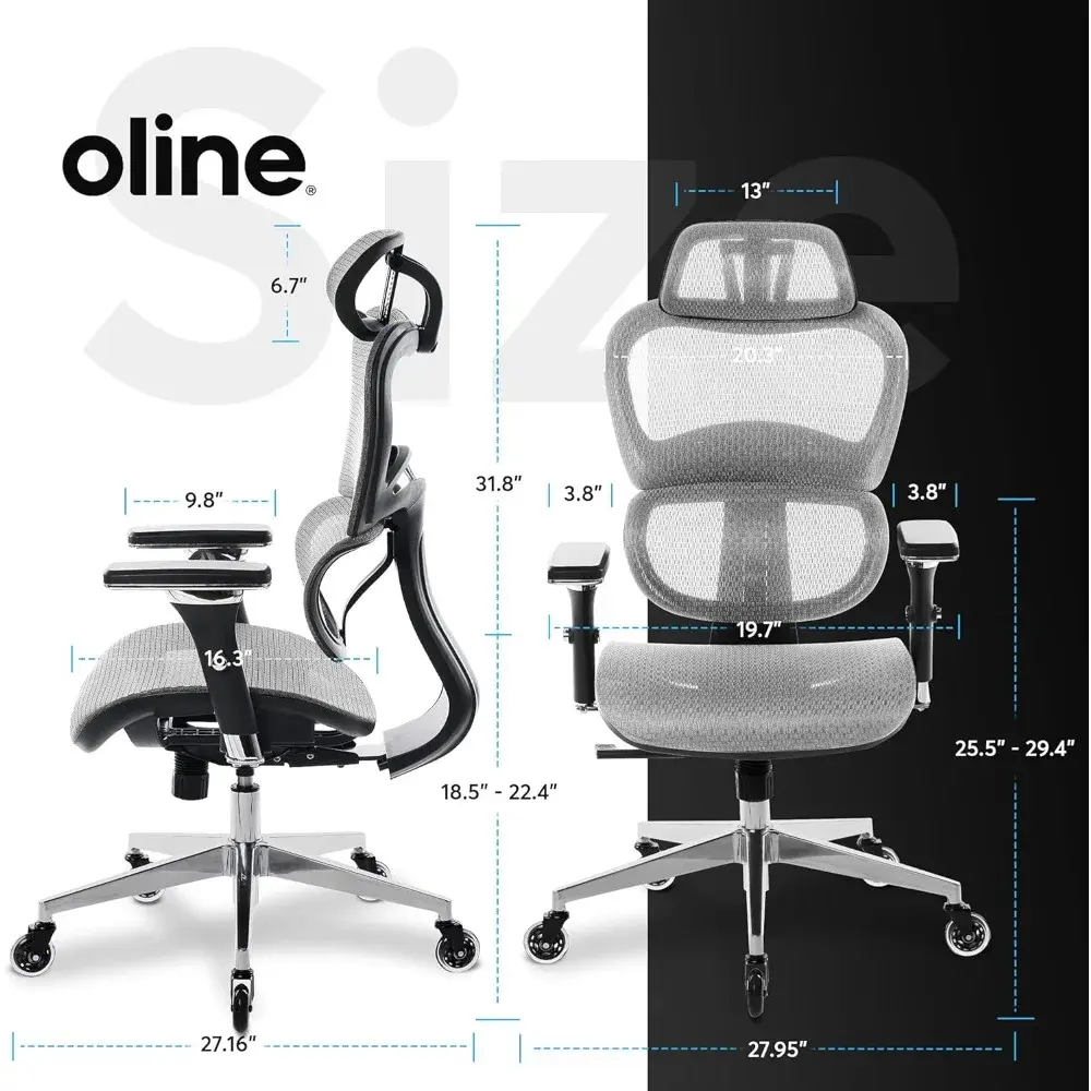 ErgoPro Ergonomic Office Chair - Rolling Desk Chair with 4D Adjustable Armrest, 3D Lumbar Support and Blade Wheels - Mesh Compu