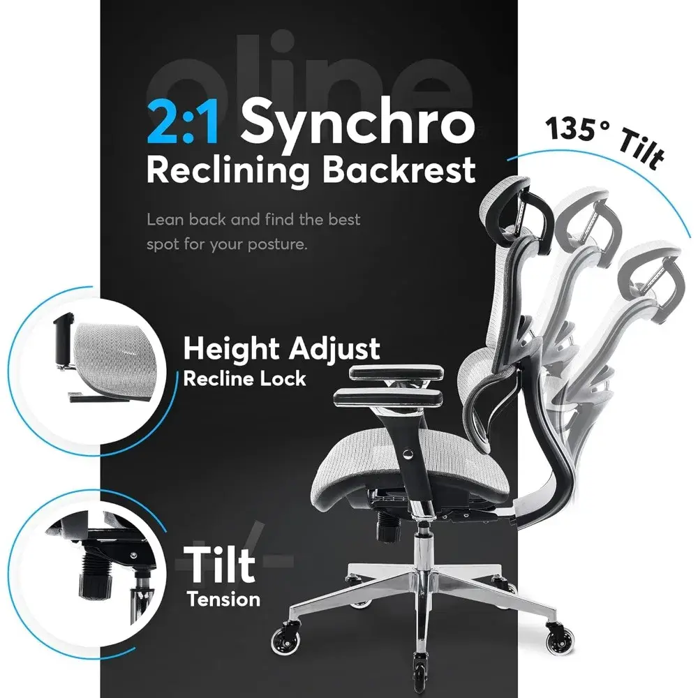 ErgoPro Ergonomic Office Chair - Rolling Desk Chair with 4D Adjustable Armrest, 3D Lumbar Support and Blade Wheels - Mesh Compu
