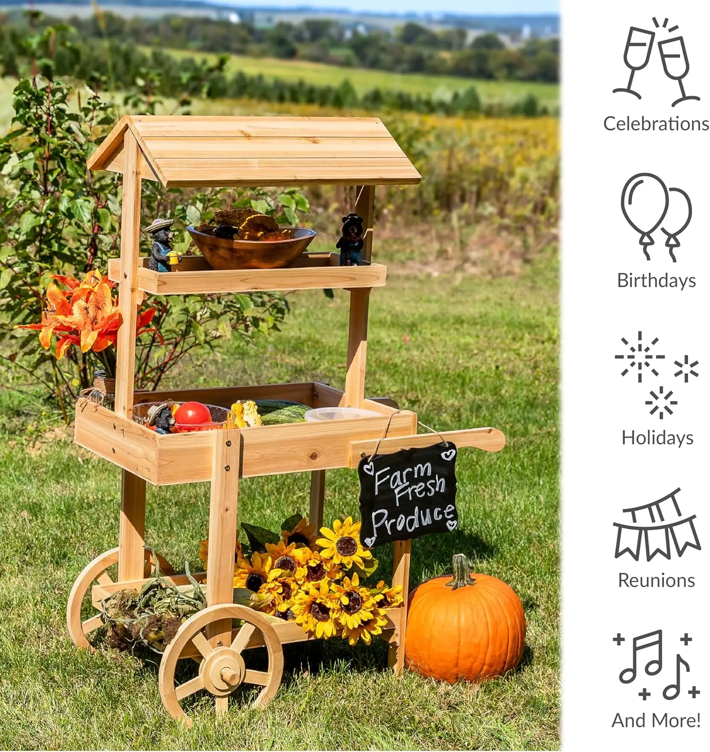 Country Market Flower Cart Display Stand with Wheels ，2 Shelves，Fir Wood，30 lb Weight Capacity ，Natural Fir