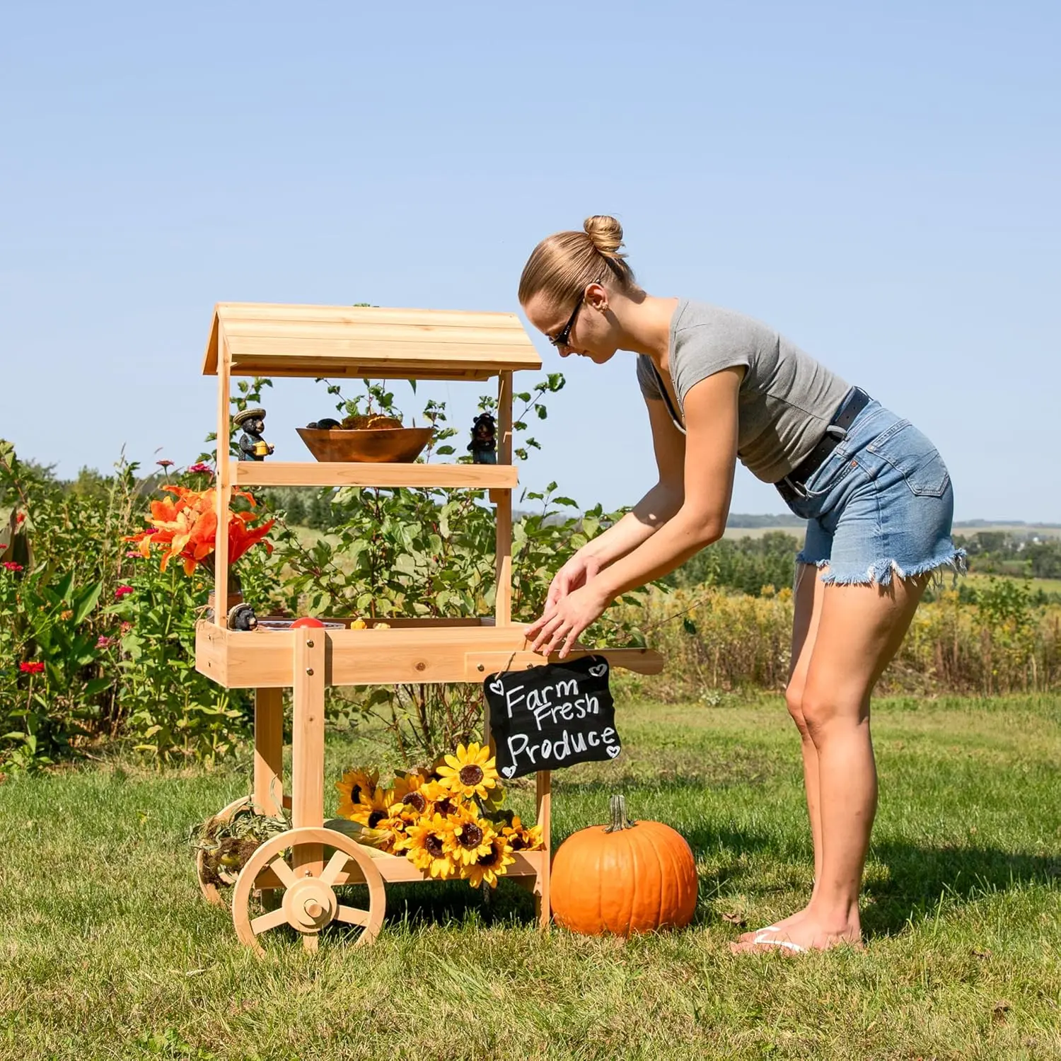 Country Market Flower Cart Display Stand with Wheels ，2 Shelves，Fir Wood，30 lb Weight Capacity ，Natural Fir