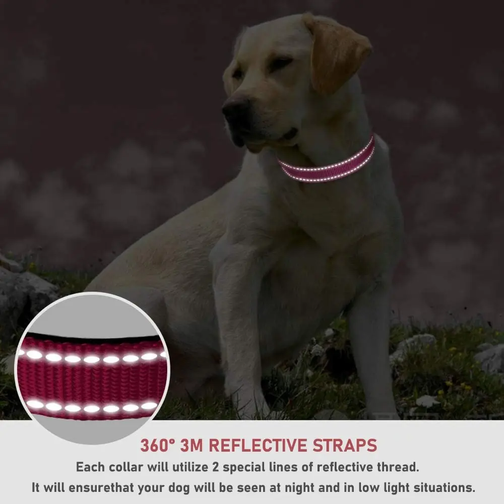 Adjustable Safety Reflective Nylon Dog Collar for Small to Large Dogs in Hot Pink, XS Size