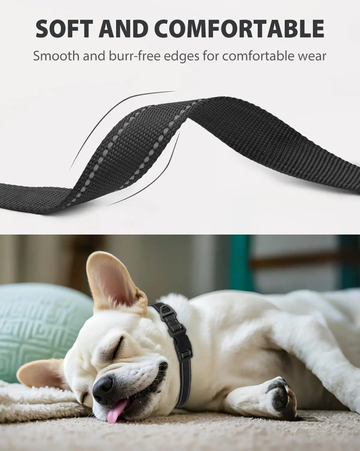 Reflective Adjustable Nylon Dog Collar for Small Dogs with Quick Release Buckle and Lightweight No-Choke Design