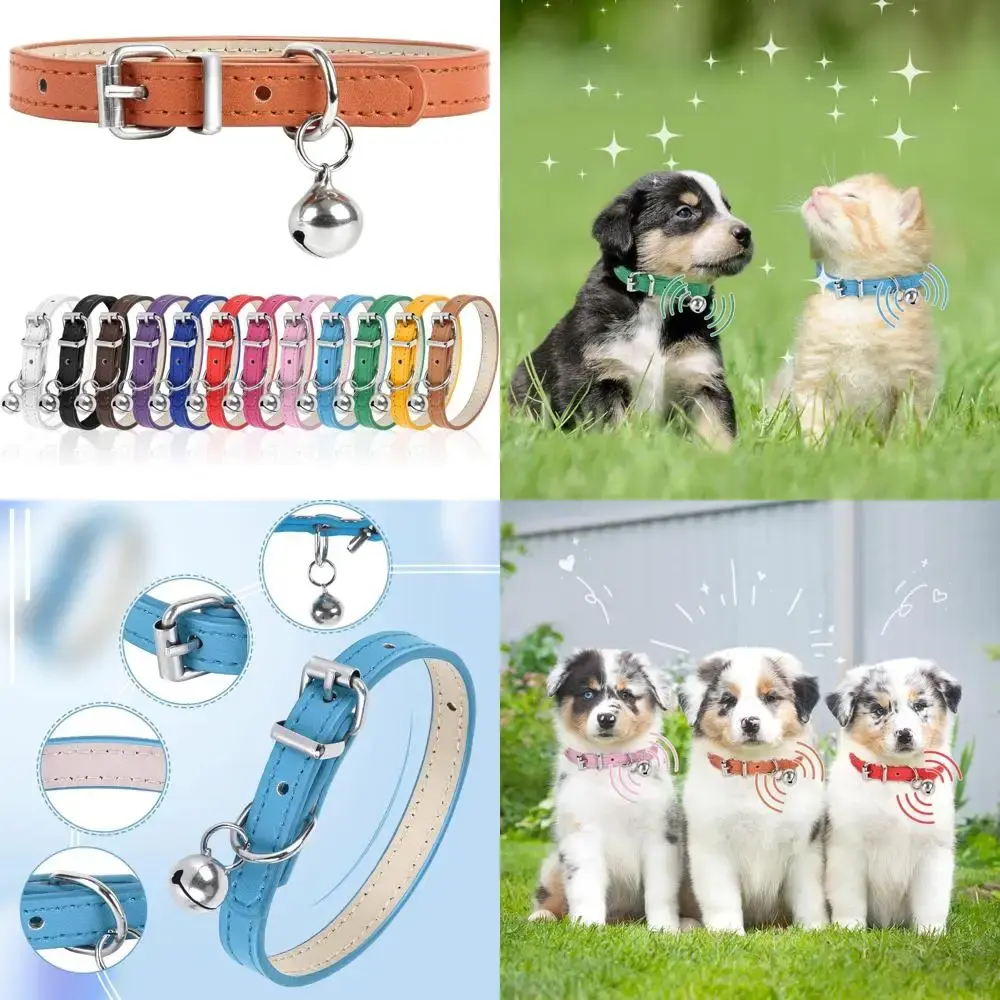 Adjustable Orange Dog Collar for Small, Medium, and Large Dogs, XXS Size, 3/8 Inch Wide