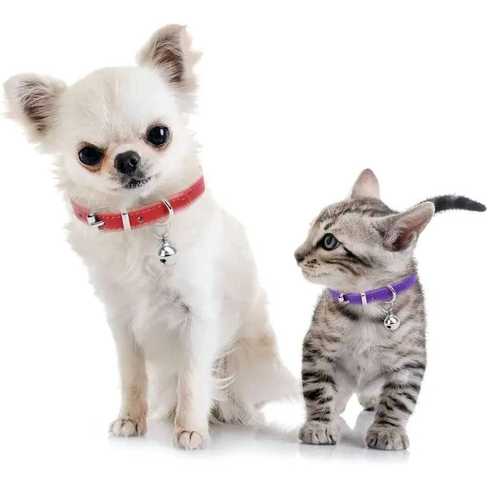"Pink Teacup Dog Collar for Small Dogs and Cats, 3/8 Inch Wide"