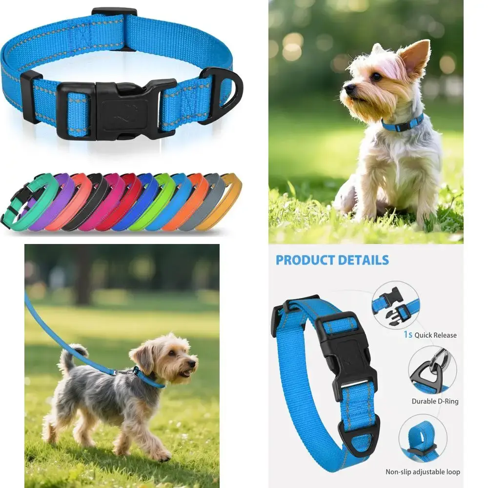 Adjustable Reflective Nylon Dog Collar for Small Dogs with Quick-Release Buckle and No-Choke Design