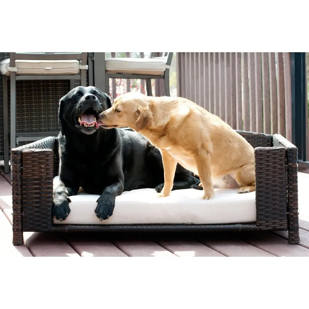 rattan and wicker pet beds with metal frame, suitable for indoor and outdoor use, pet sofas and couches for dogs and cats