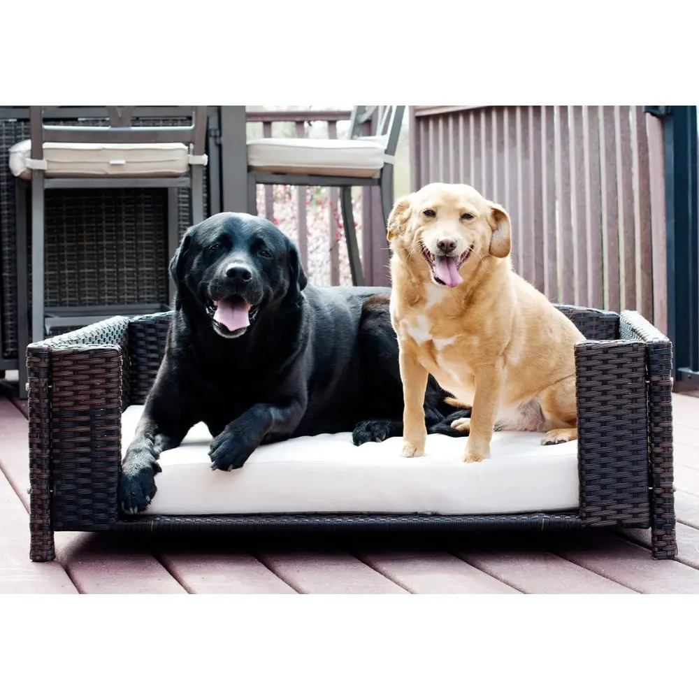 rattan and wicker pet beds with metal frame, suitable for indoor and outdoor use, pet sofas and couches for dogs and cats
