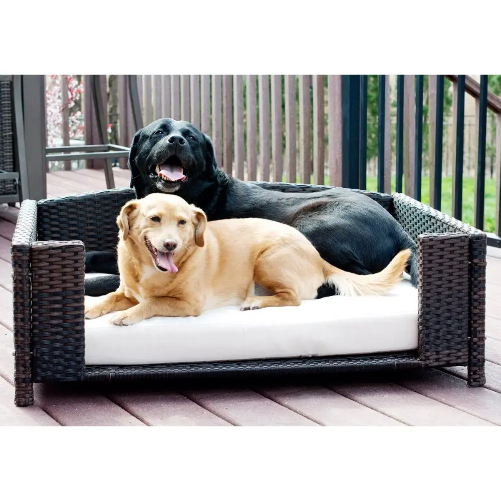 rattan and wicker pet beds with metal frame, suitable for indoor and outdoor use, pet sofas and couches for dogs and cats