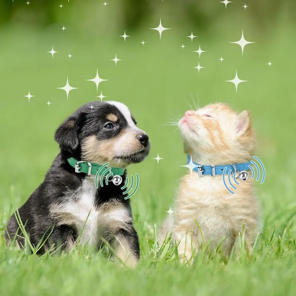 Adjustable Teacup Dog Collar for Small, Medium, and Large Dogs - 3/8 Inch Width in Black, Size XXS