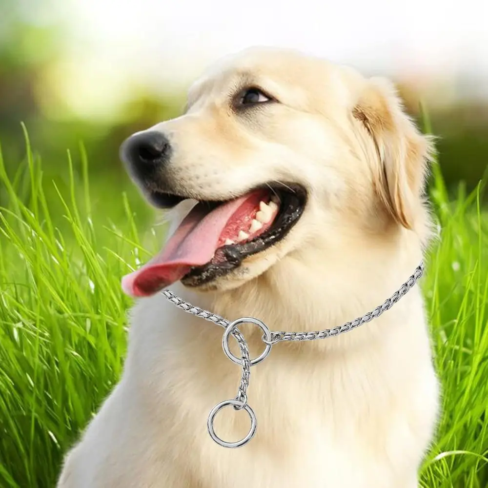 Stainless Steel Small Dog Collar, Silver Gold Black, 2.3-4.5mm, Metal Snake Design for Puppy and Small to Medium Dogs