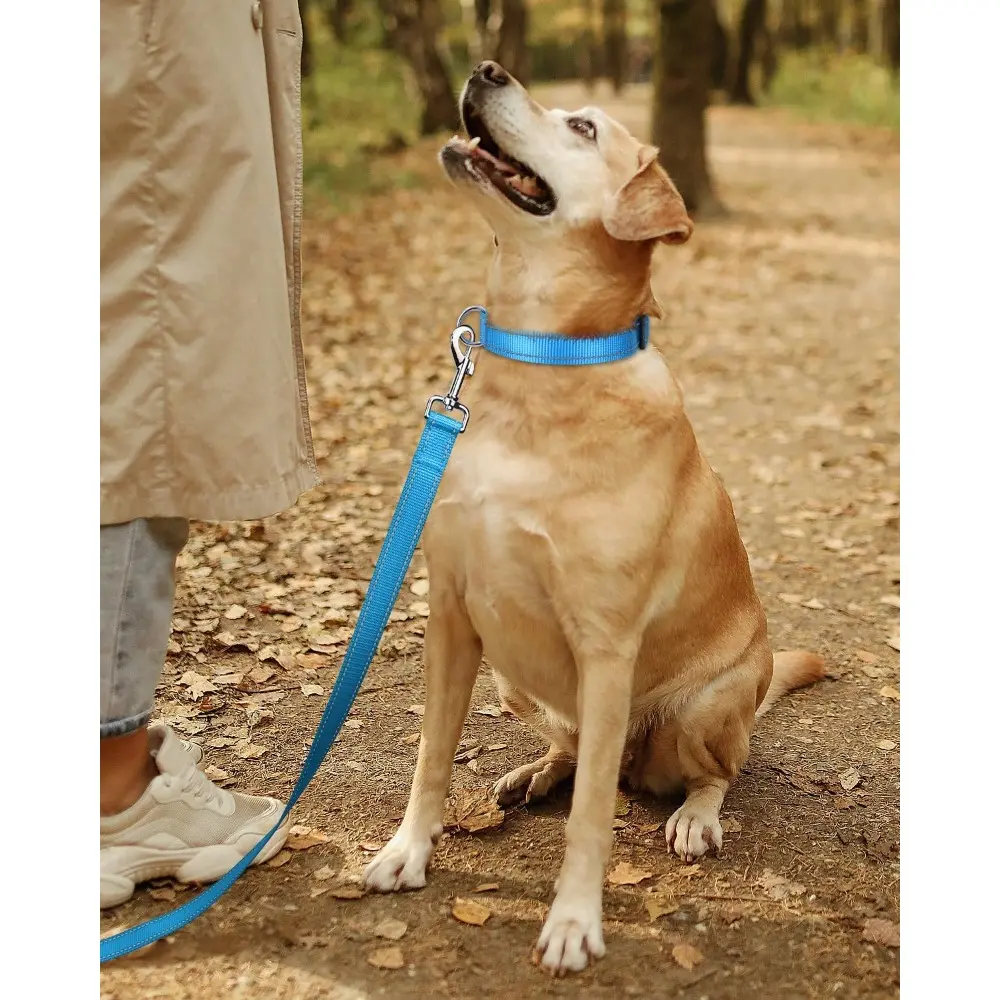 Reflective Nylon Dog Collar for Small Dogs with Quick Release Buckle, Ideal for Male Pups, Sky Blue, 3/8 Inch Width