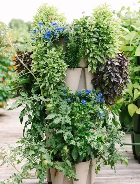 Patented Large 5 Tier Vertical Garden Planter with Patented Internal Watering System Great