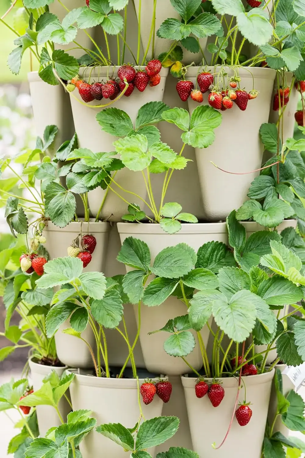 Patented Large 5 Tier Vertical Garden Planter with Patented Internal Watering System Great