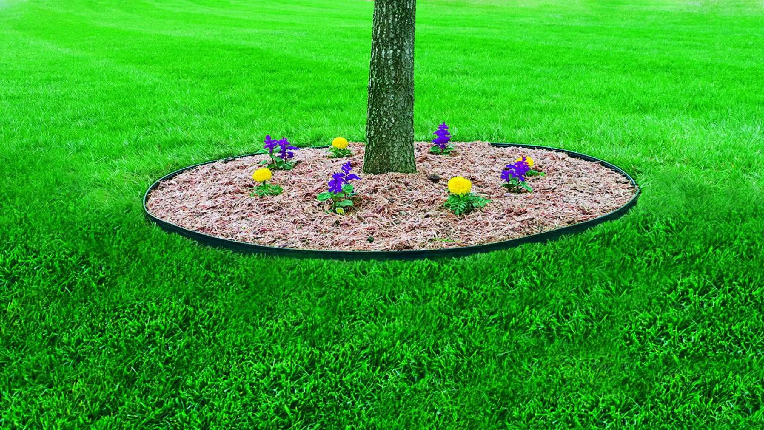 No-Dig Landscape Edging Kit, 100-ft x 1.5-in. High, Includes Anchoring Spikes, Black Recycled PlasticPlastic