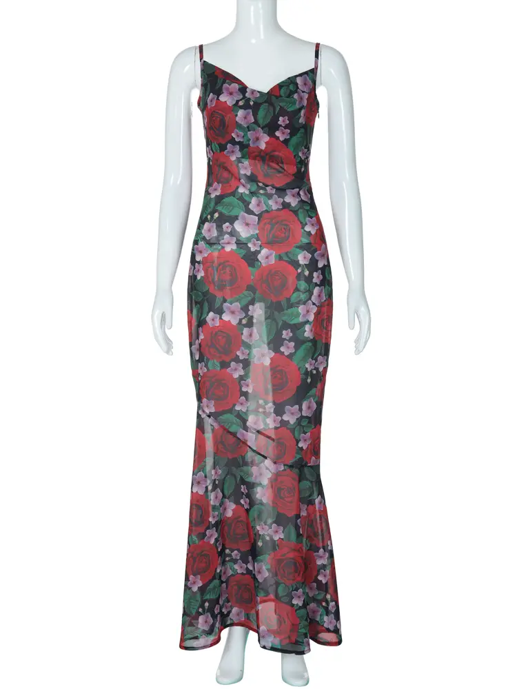 Hugcitar Chiffon Floral Print Slips Backless Sexy See Through Elegant Maxi Dress Spring  Women New Outfit Birthday Vacation