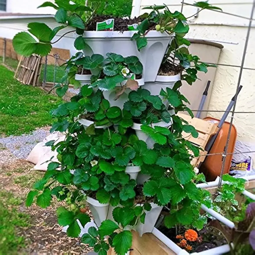 5 Tiered Vertical Gardening Planter, Indoor & Outdoor