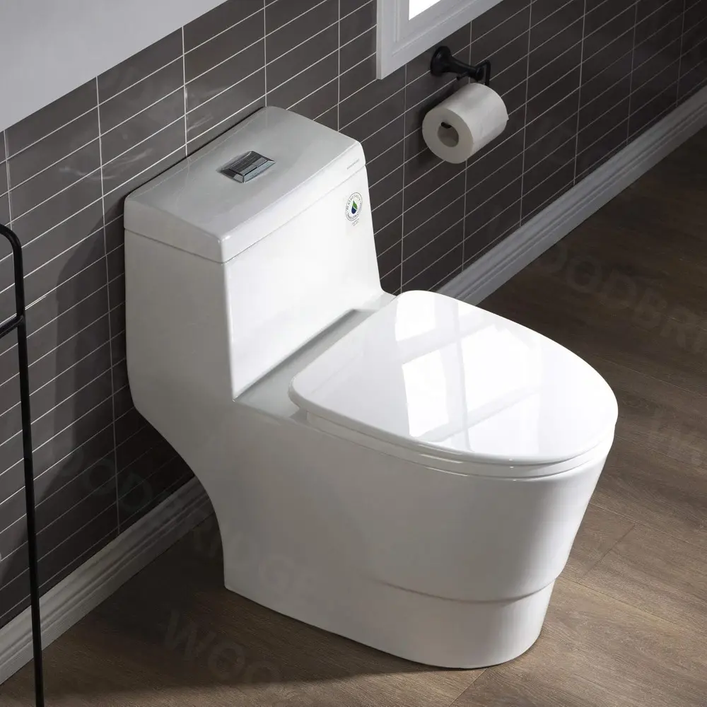 E One Piece Toilet with Soft Closing Seat, Chair Height, 1.28 GPF Dual, Water Sensed, 1000 Gram MaP Flushing Score Toilet with C