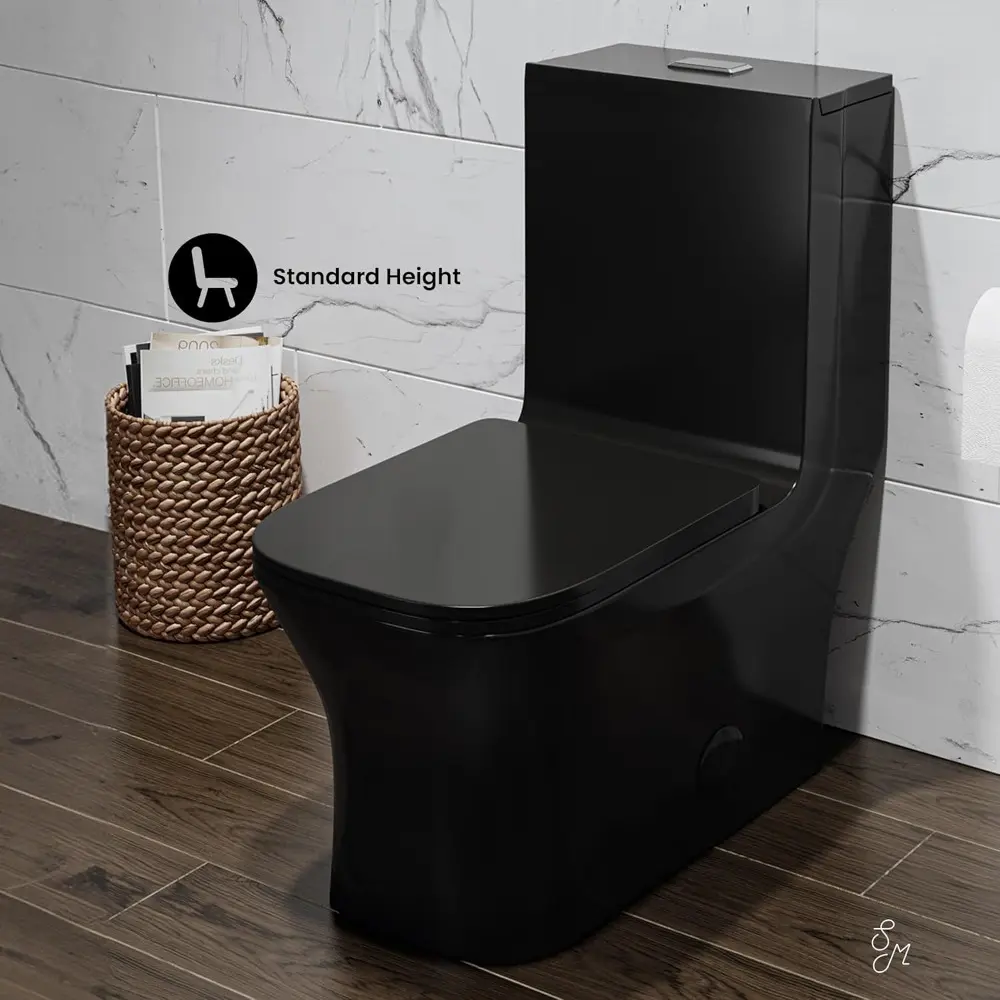 Concorde One Piece Square Toilet Dual Flush in Glossy Black 1.1/1.6 gpf