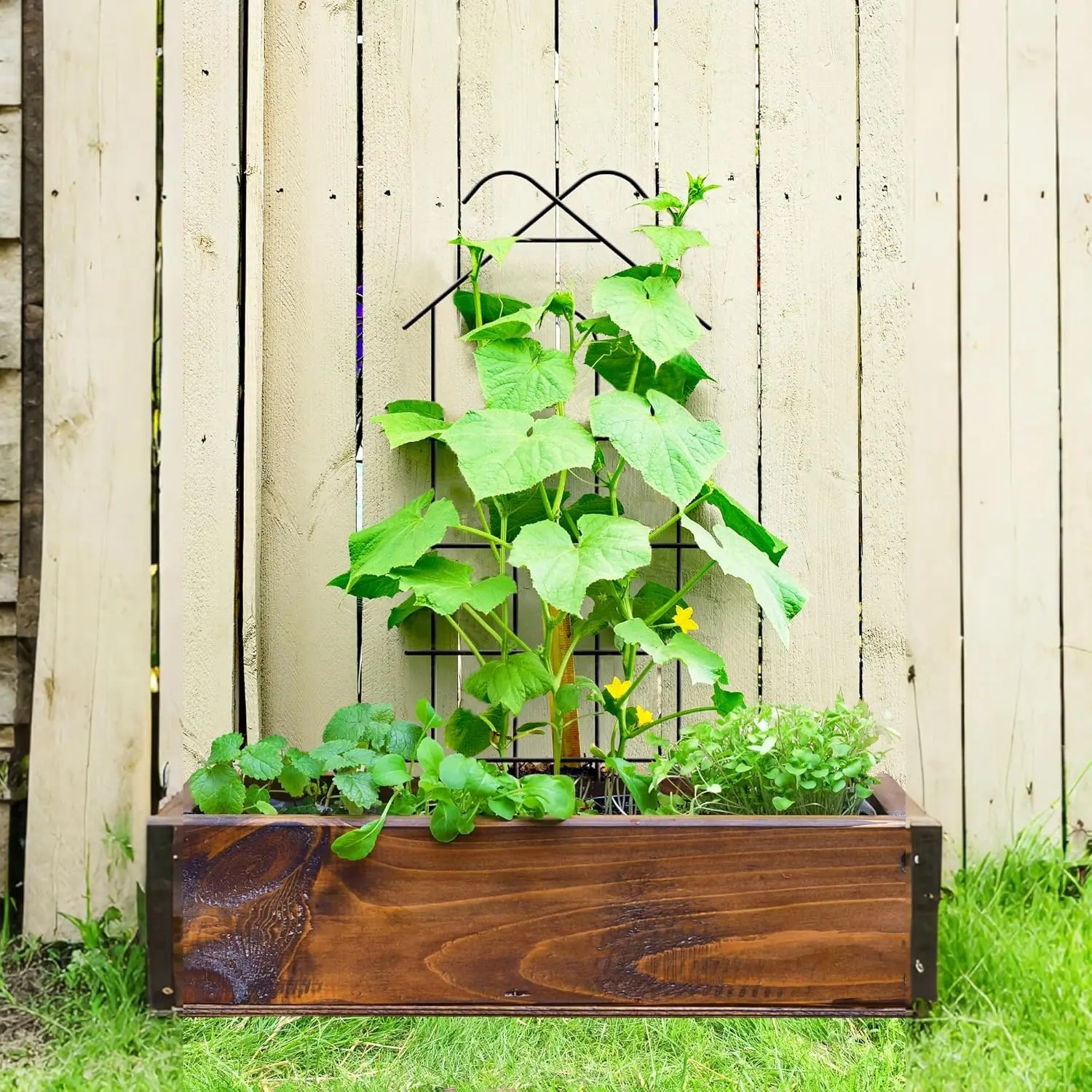40'' Metal Garden Trellis Indoor/Outdoor Sturdy Plant Trellis for Potted Plants,House Plants, Climbing Vines, Pack of 4, Black