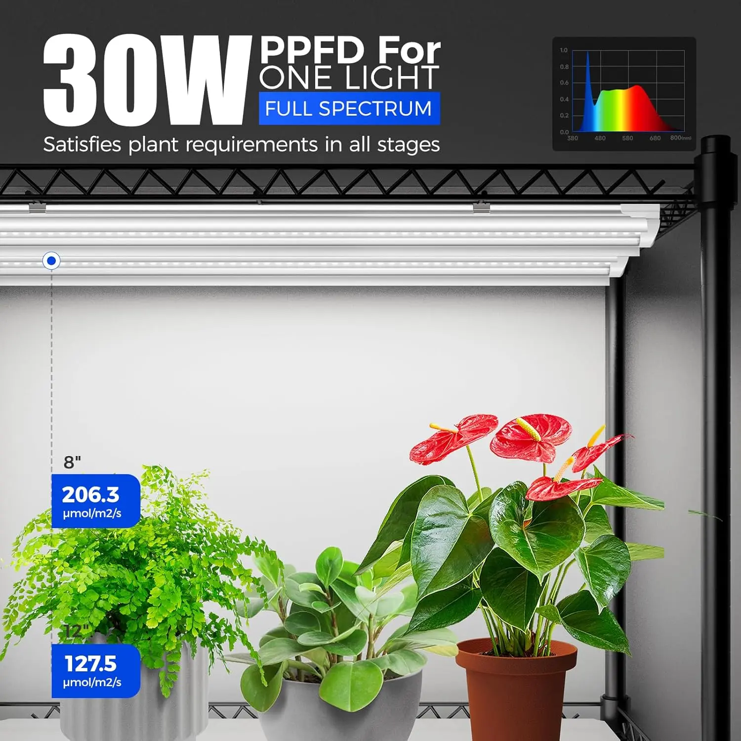 Mini Greenhouse with LED Grow Light for Indoor Plant, 4-Tier Portable Metal Plant Stand with Wheels, Plant Shelf with Tent