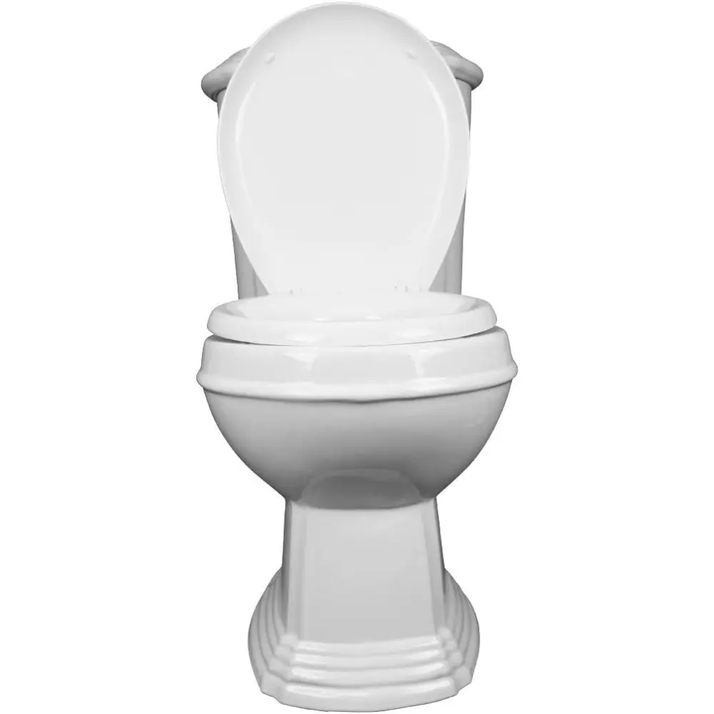 2 Piece Toilet Sheffield White Bathroom Toilets With Slow Close Toilet Seat Elongated Toilet Bowl