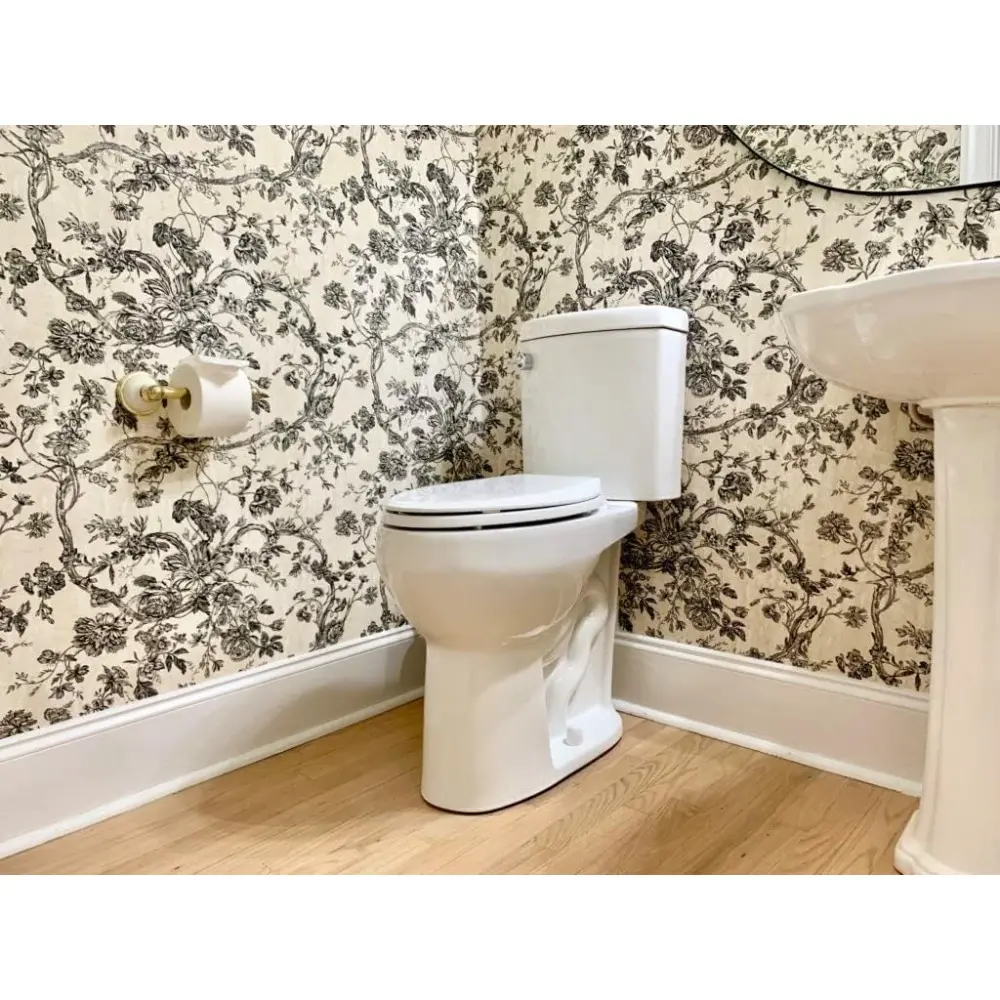 20 inch Extra Tall Toilet.  bowl taller than ADA Comfort Height. Dual flush, Metal handle, Slow-close seat