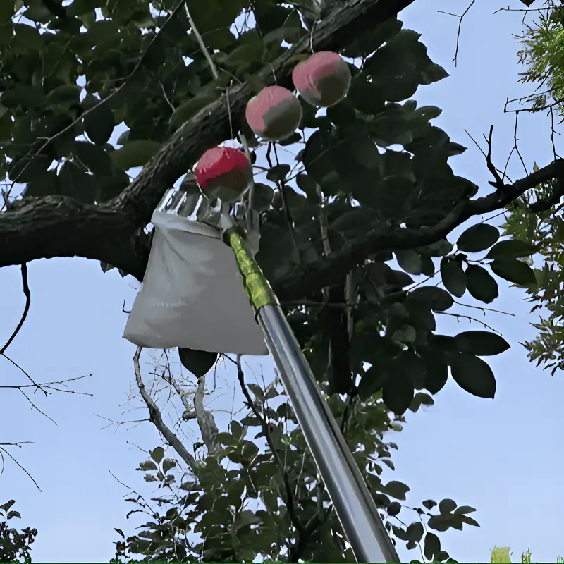 Fruit Picking Tools Fruit Picking Grabber Telescopic Fruit Picking Tool High Altitude Picking Tool Thickened Thickened Long Pole