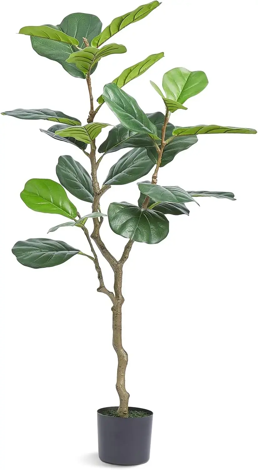 324