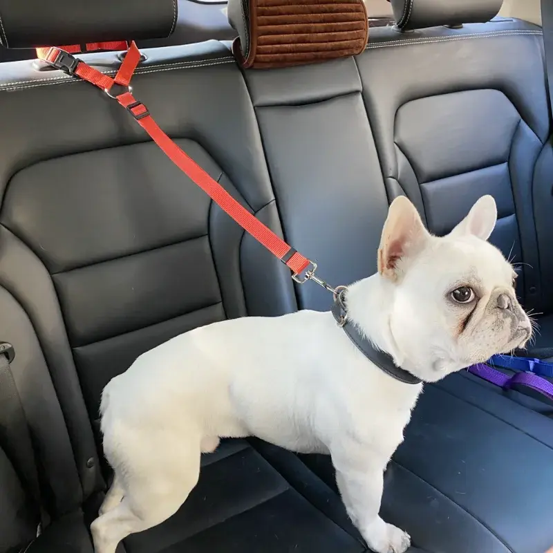 Pet SuppliesPractical Cat and Dog Safety Adjustable Car Seat Belt, Seat Belt, Puppy Seat Belt