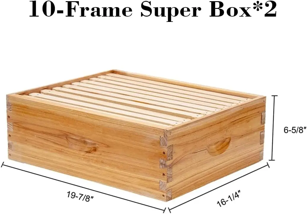 10 Frame Langstroth Hive Coated with 100% Beeswax Includes Beehive Frames and Waxed Foundations (2 Deep Boxes & 2 Medium Boxes)