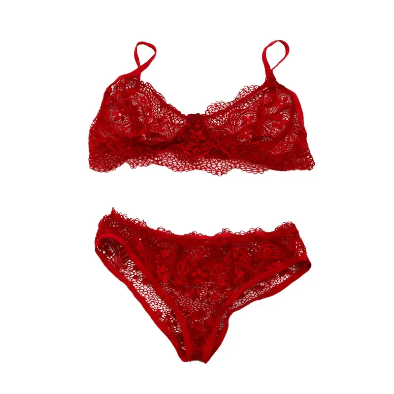 New Sexy Eyelash Lace Bra Set Ladies Bralette Push Up Lingerie Bras Briefs Set Women Deep V Cross Back Transparent G-string